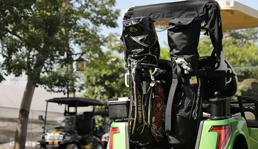 Golf Bag Holder and Cover